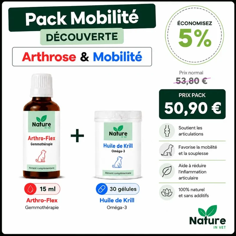 Pack "mobilité"