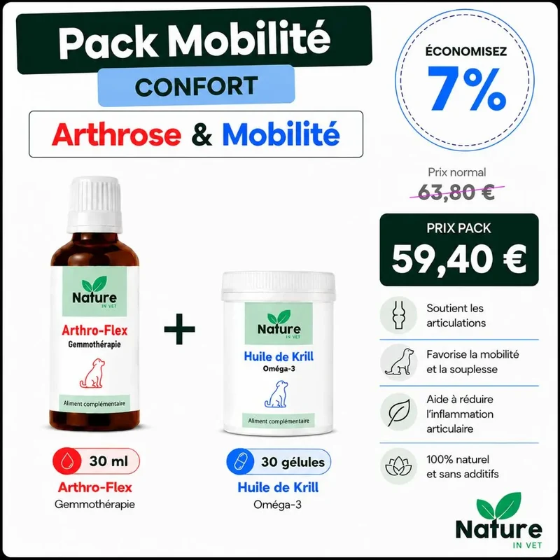 Pack "mobilité"