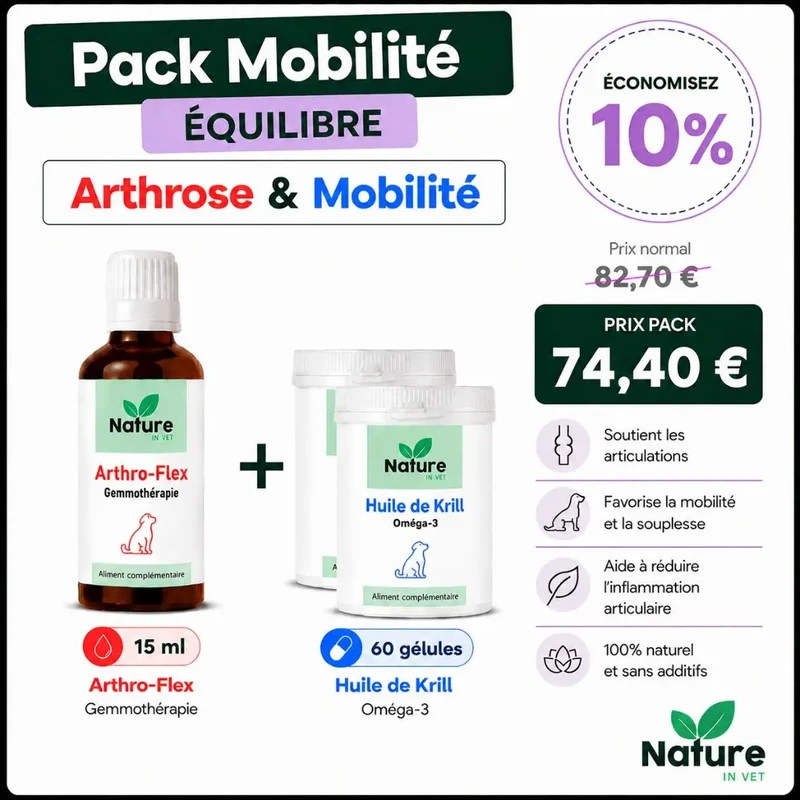 Pack "mobilité"