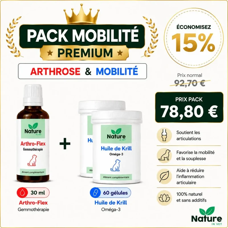 Pack "mobilité"
