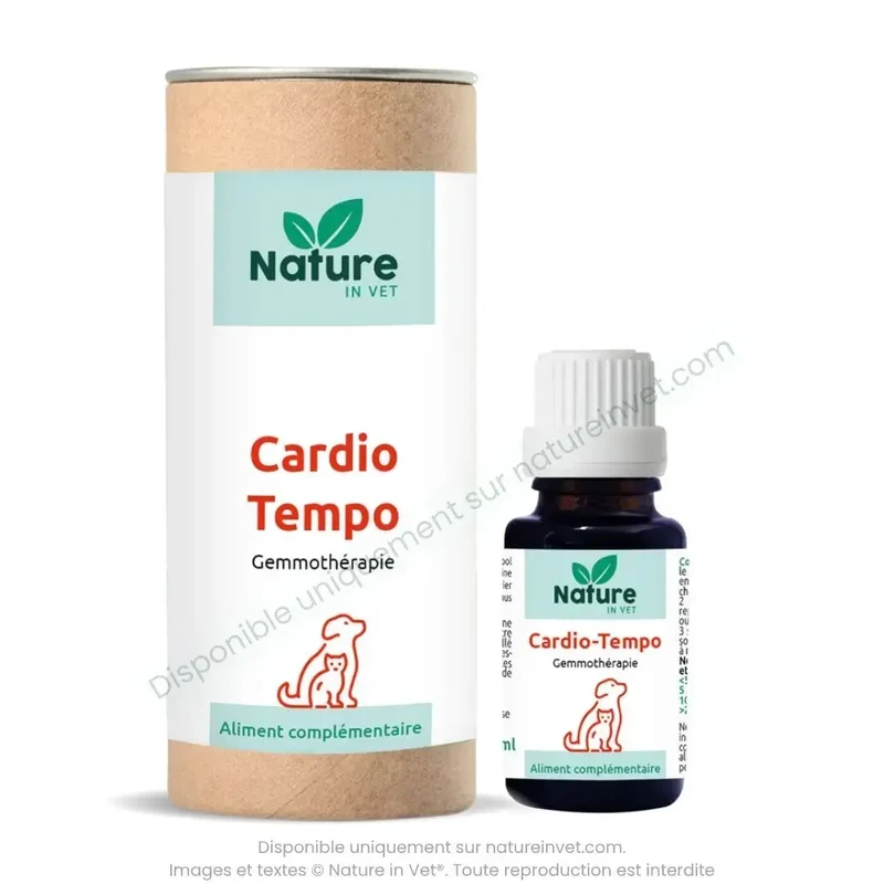CARDIO-TEMPO