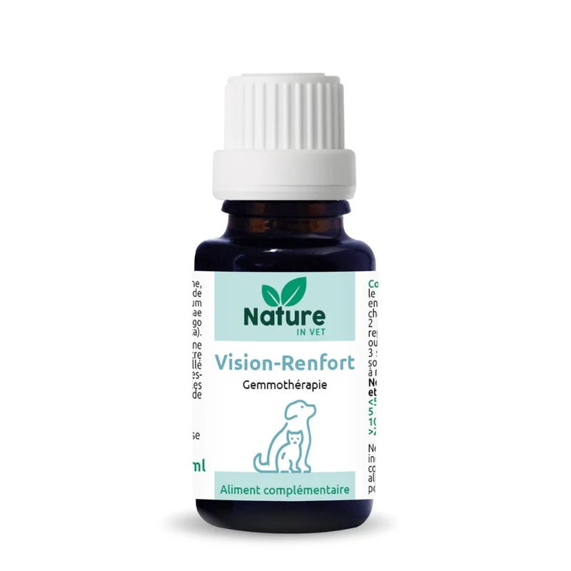 VISION-RENFORT