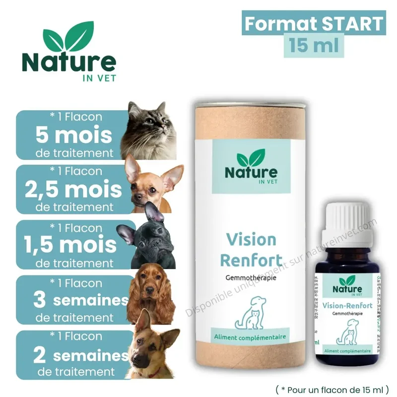 VISION-RENFORT