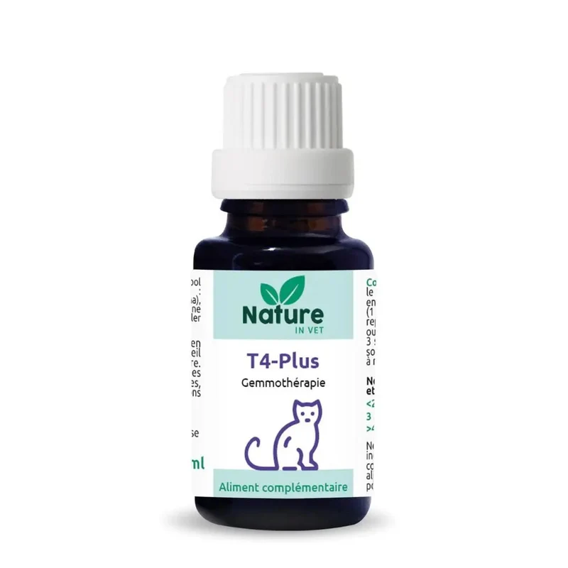 T4-PLUS