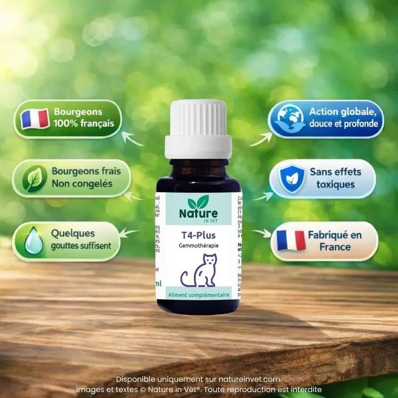 T4-PLUS