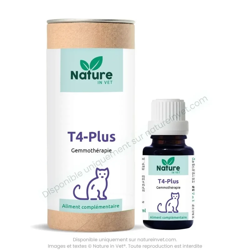 T4-PLUS