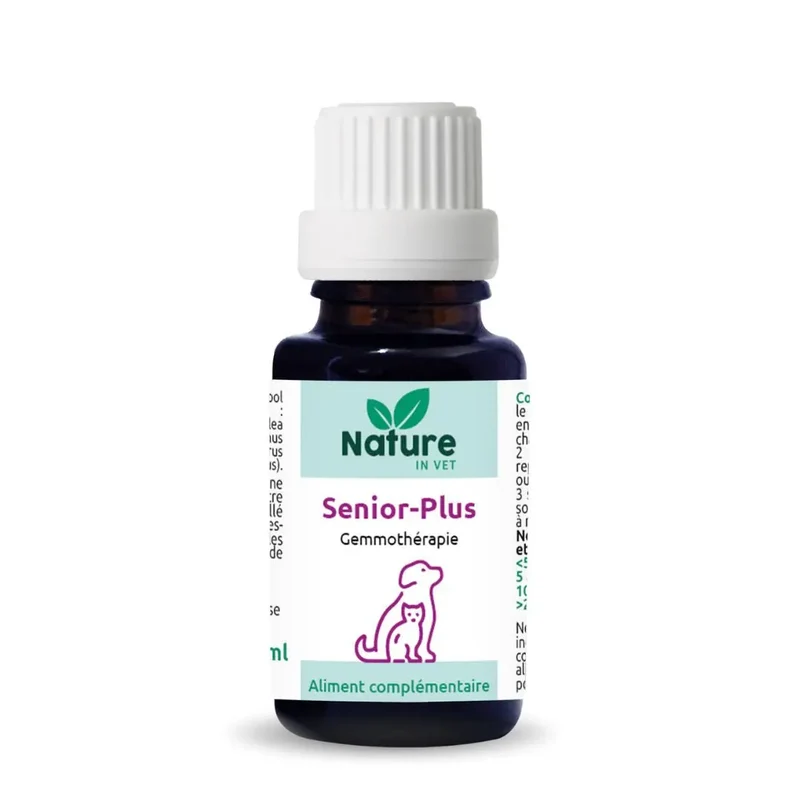 SENIOR-PLUS