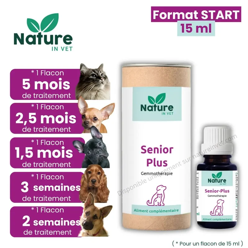 SENIOR-PLUS