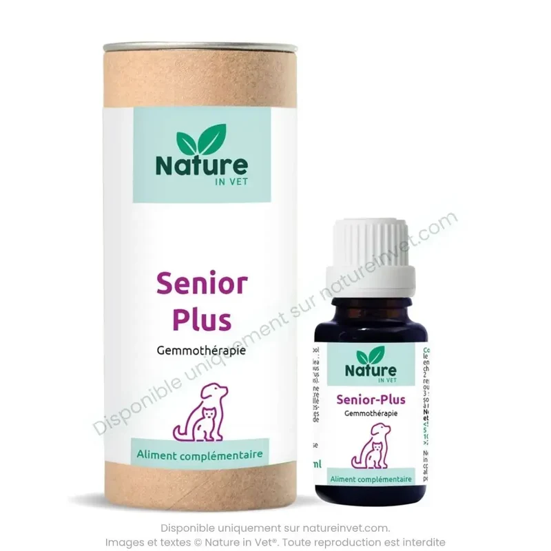 SENIOR-PLUS