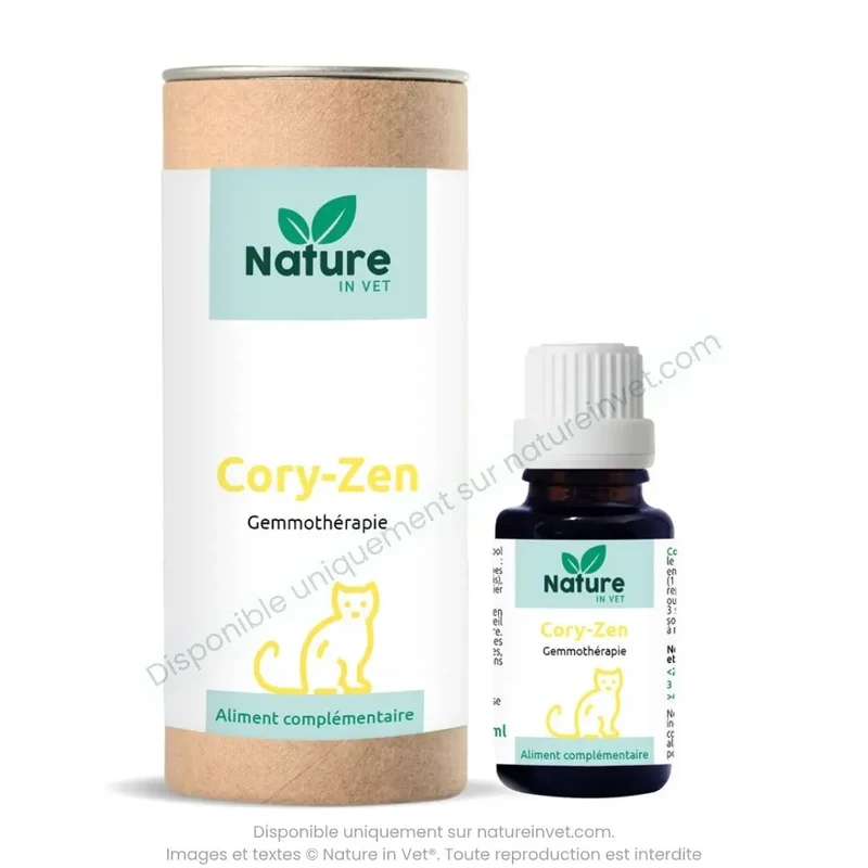 CORY-ZEN