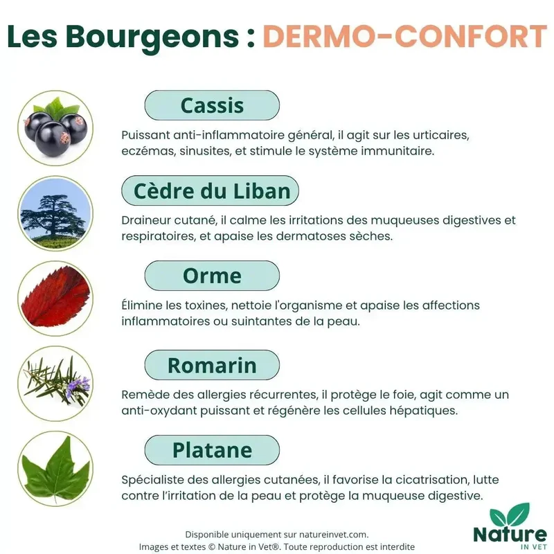 DERMO-CONFORT