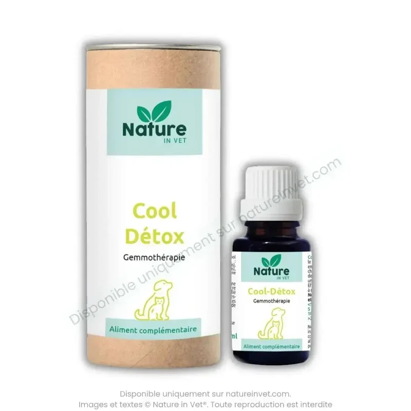 COOL-DETOX