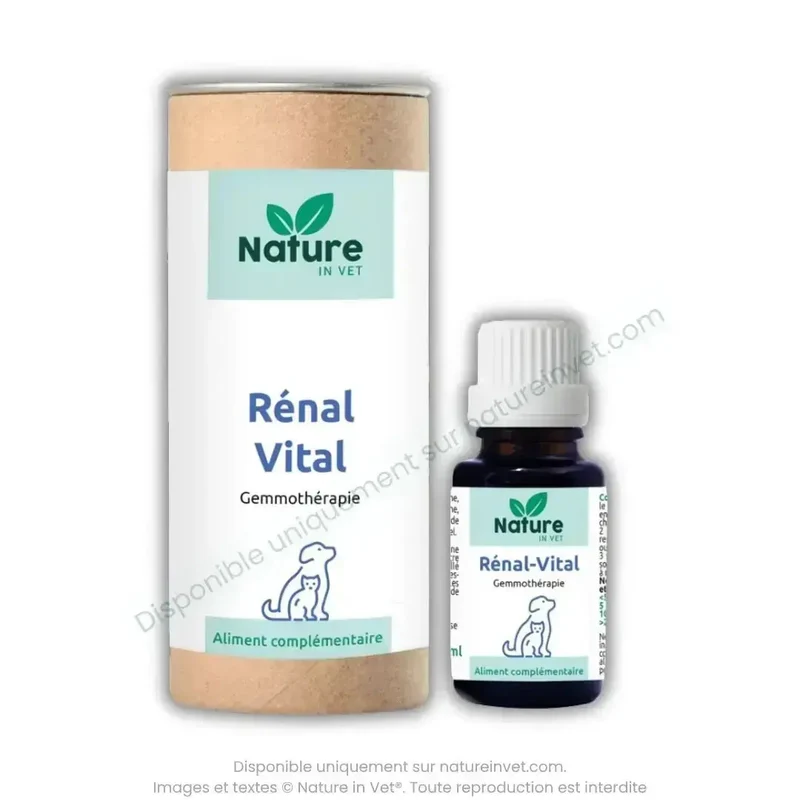 RENAL-VITAL