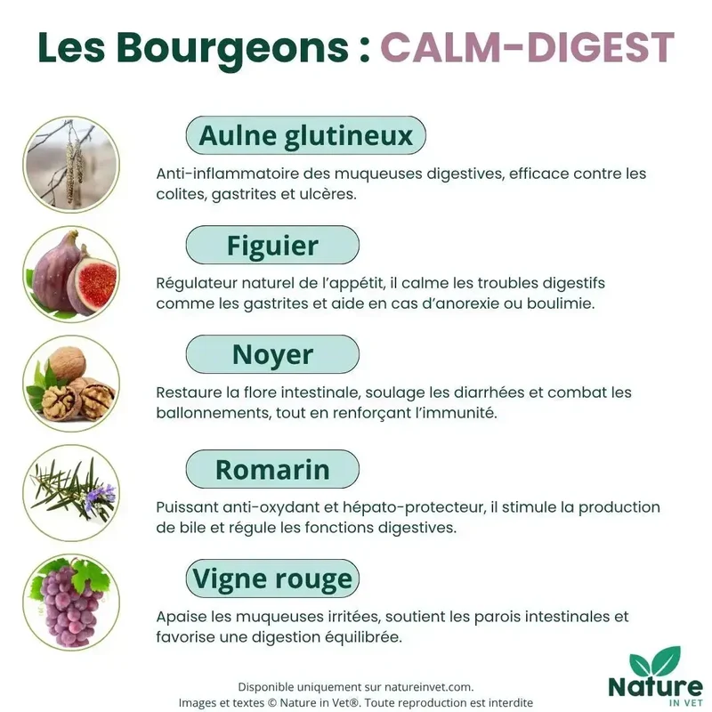 CALM-DIGEST