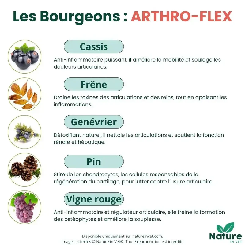 ARTHRO-FLEX