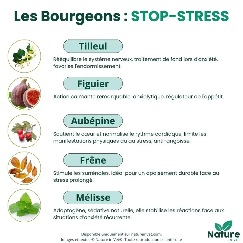 STOP-STRESS