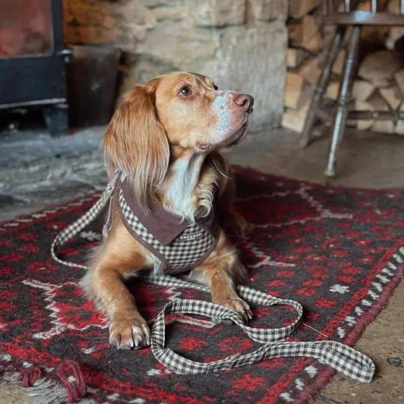 LAISSE POUR CHIEN TISSU - CARREAUX "COTSWOLD CHECK"