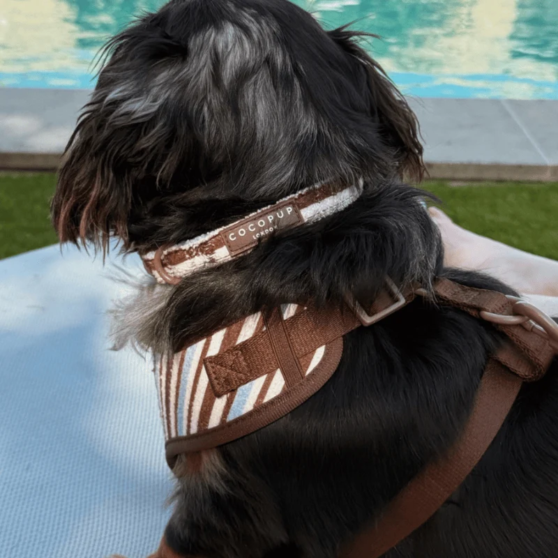 COLLIER POUR CHIEN TISSU ÉPONGE - RAYURES "BROWN & BLUE STRIPES"