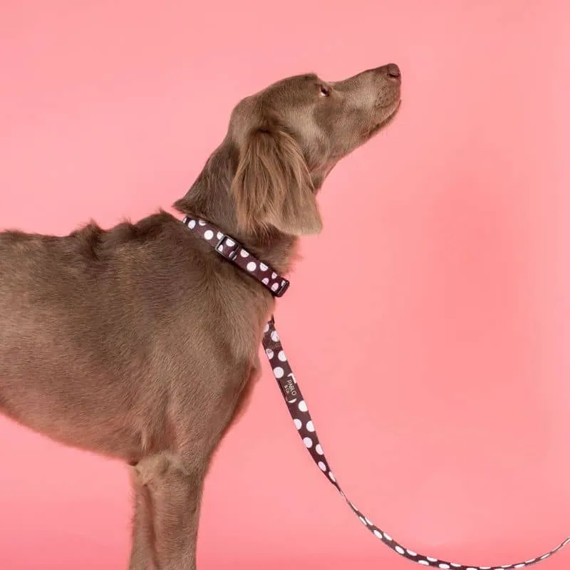 COLLIER POUR CHIEN TISSU - "POLKA DOTS"