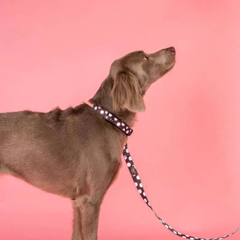 LAISSE POUR CHIEN TISSU - "POLKA DOTS"