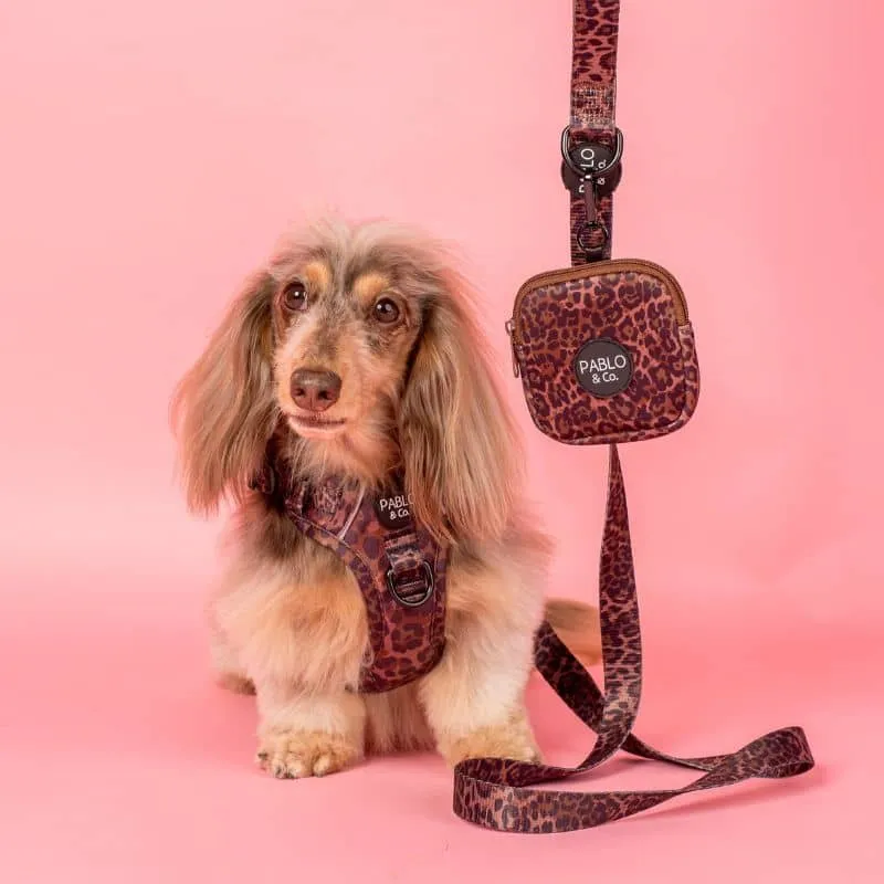 LAISSE POUR CHIEN TISSU - "LEOPARD"