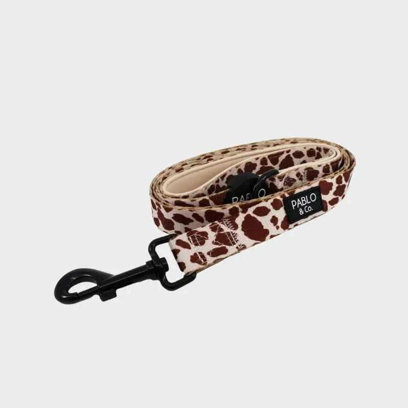 LAISSE POUR CHIEN TISSU - "RODEO"