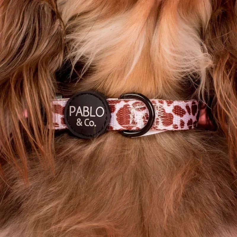 COLLIER POUR CHIEN TISSU - "RODEO"