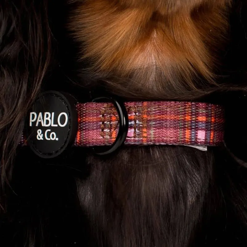 COLLIER POUR CHIEN TISSU - "CAMILLA"