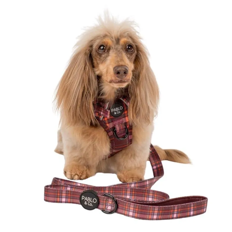 LAISSE POUR CHIEN TISSU - "CAMILLA"