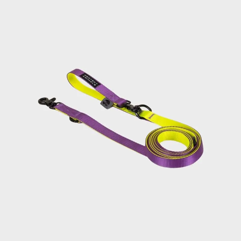 LAISSE MULTIPOSITIONS POUR CHIEN - DUO NÉON JAUNE ET VIOLET