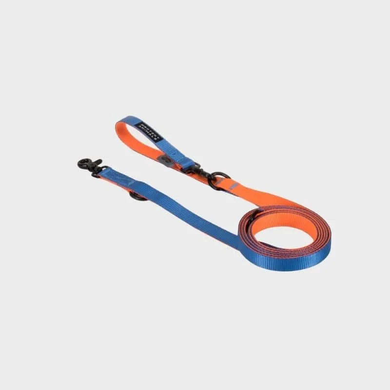 LAISSE MULTIPOSITIONS POUR CHIEN - DUO NÉON ORANGE ET BLEU