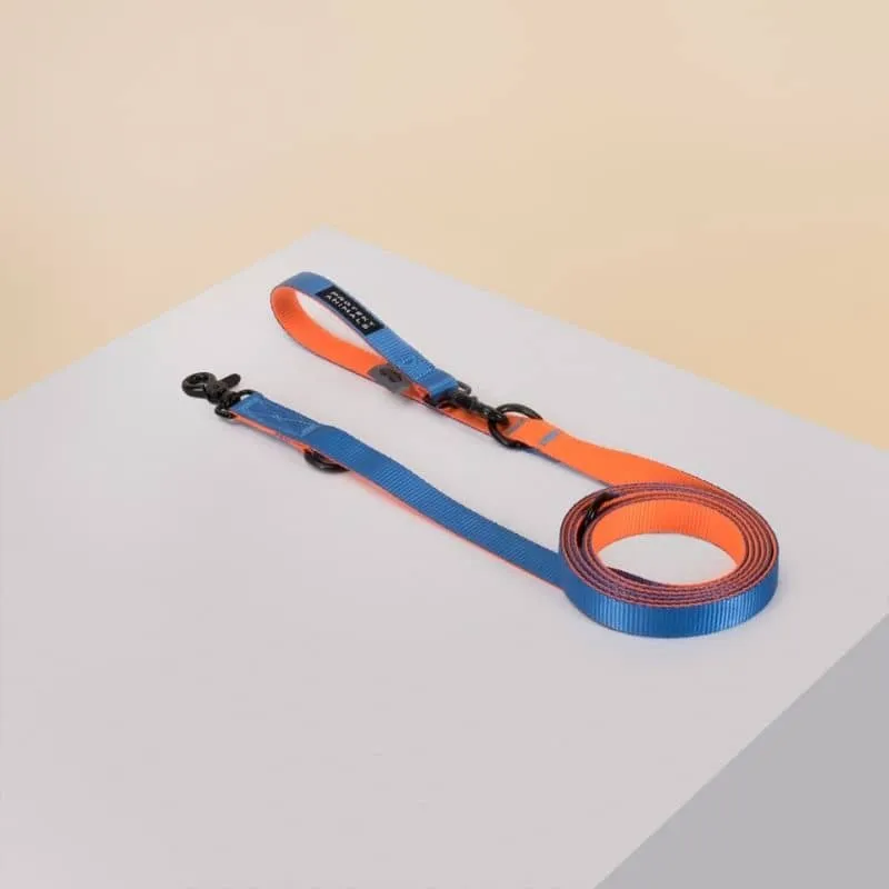 LAISSE MULTIPOSITIONS POUR CHIEN - DUO NÉON ORANGE ET BLEU