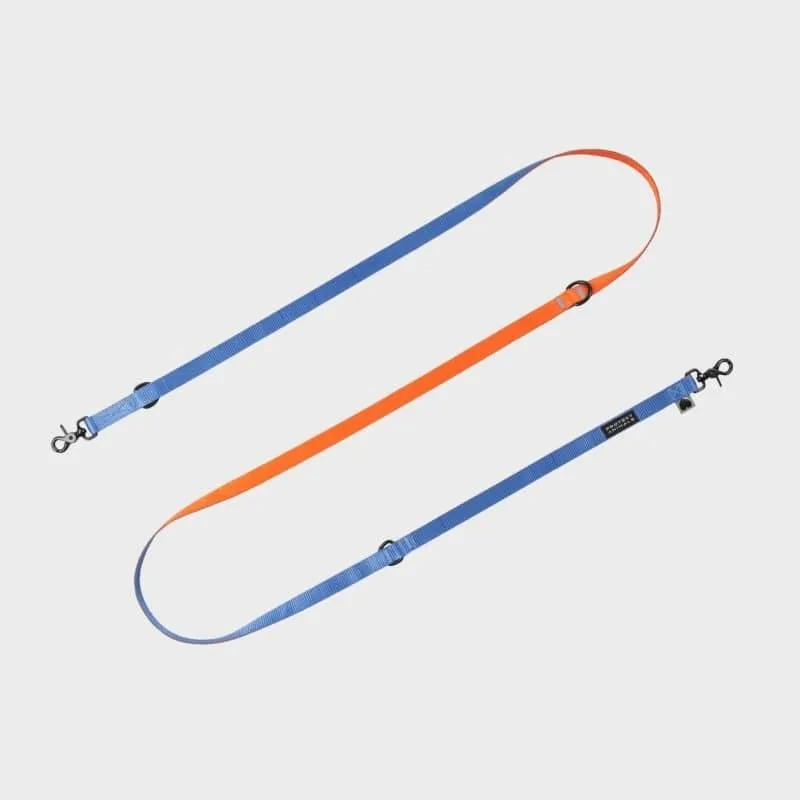 LAISSE MULTIPOSITIONS POUR CHIEN - DUO NÉON ORANGE ET BLEU