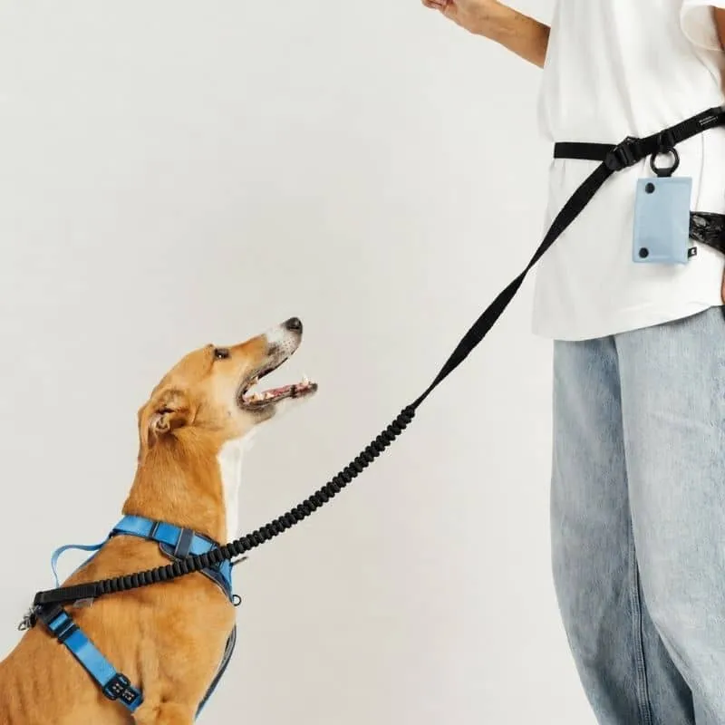 LAISSE MULTIPOSITIONS À ABSORBEUR DE CHOC POUR CHIEN - NOIR