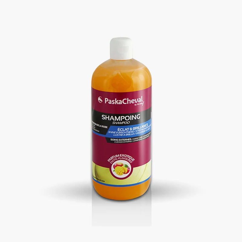 SHAMPOING ECLAT ET BRILLANCE | PASKACHEVAL