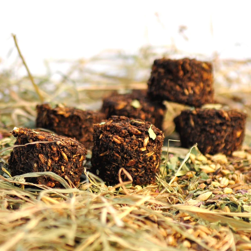 STUD MUFFINS FRIANDISE POUR CHEVAUX