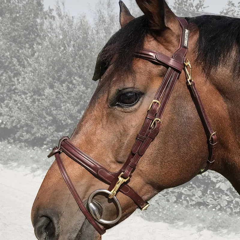 BRIDON EASY | CAVALETTI