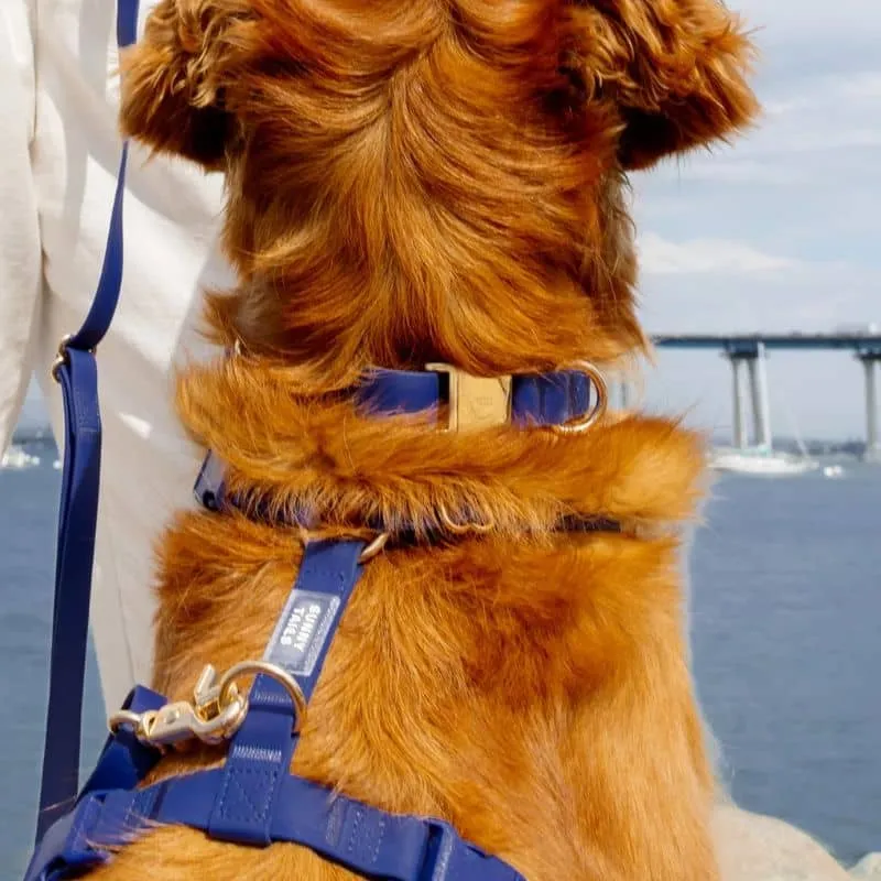 COLLIER POUR CHIEN WATERPROOF - BLEU MARINE "NAVY"