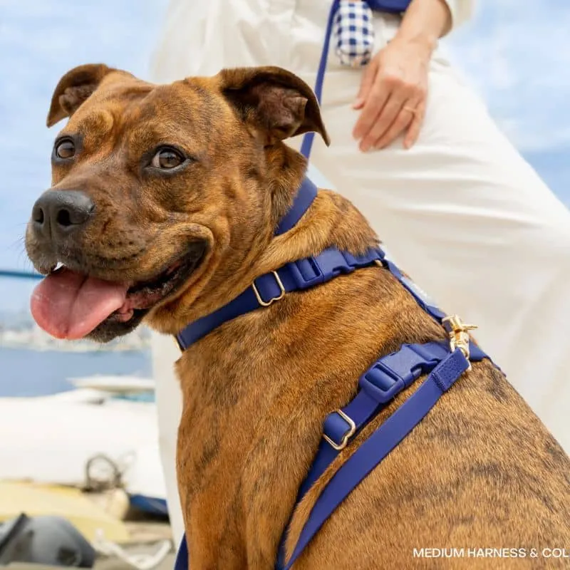 LAISSE POUR CHIEN WATERPROOF - BLEU MARINE "NAVY"