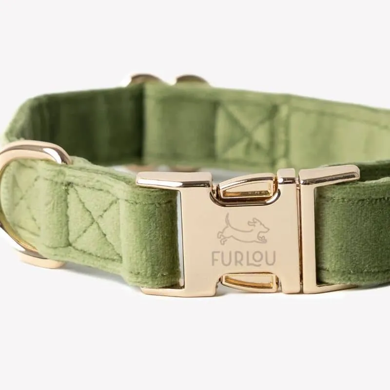 COLLIER EN VELOURS POUR CHIEN - VERT "GREEN VELVET"
