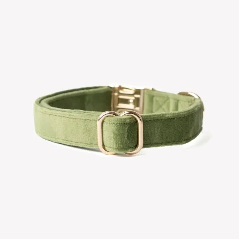 COLLIER EN VELOURS POUR CHIEN - VERT "GREEN VELVET"