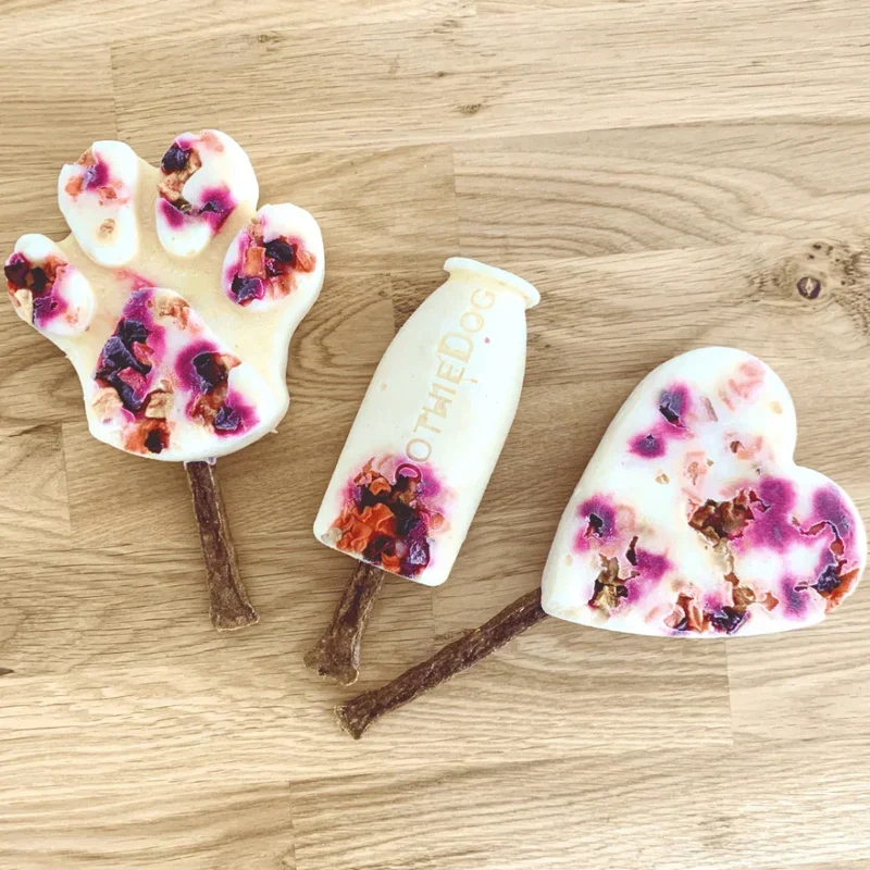Moule à glace Smoothie Dog