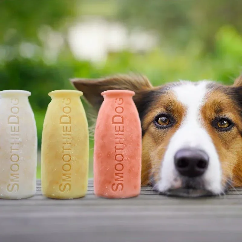 Moule à glace Smoothie Dog