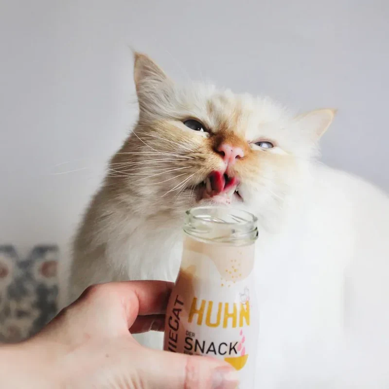 Smoothie pour chat – Plusieurs saveurs disponibles – 150mL