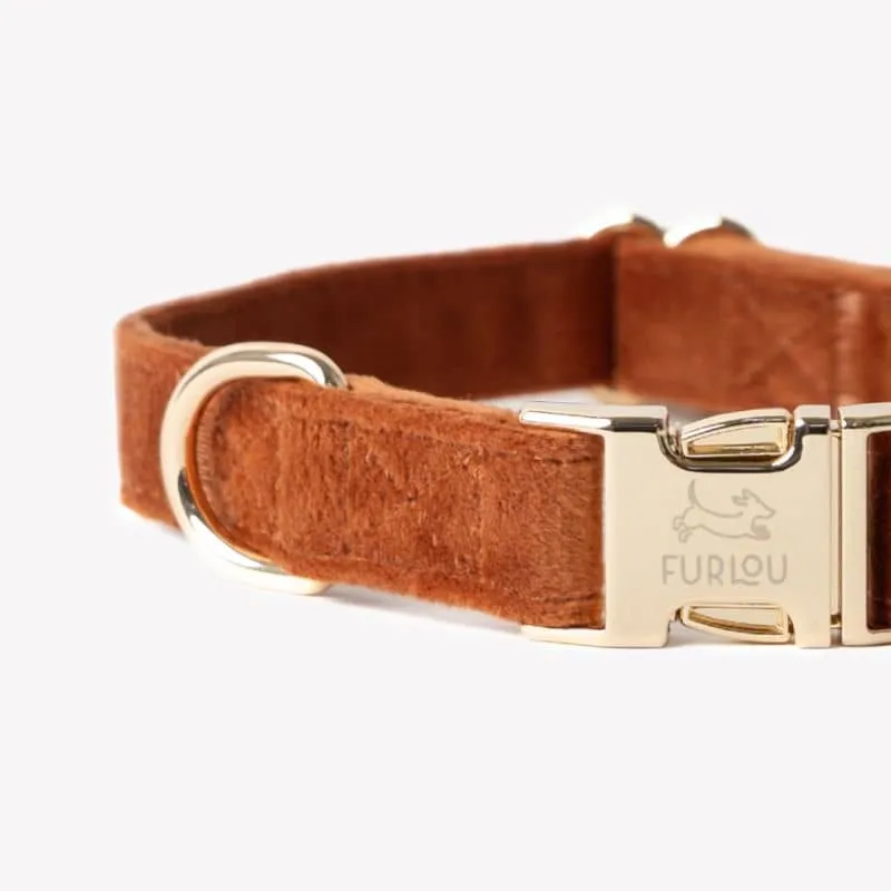 COLLIER EN VELOURS POUR CHIEN - ORANGE TERRE CUITE "CLAY VELVET"