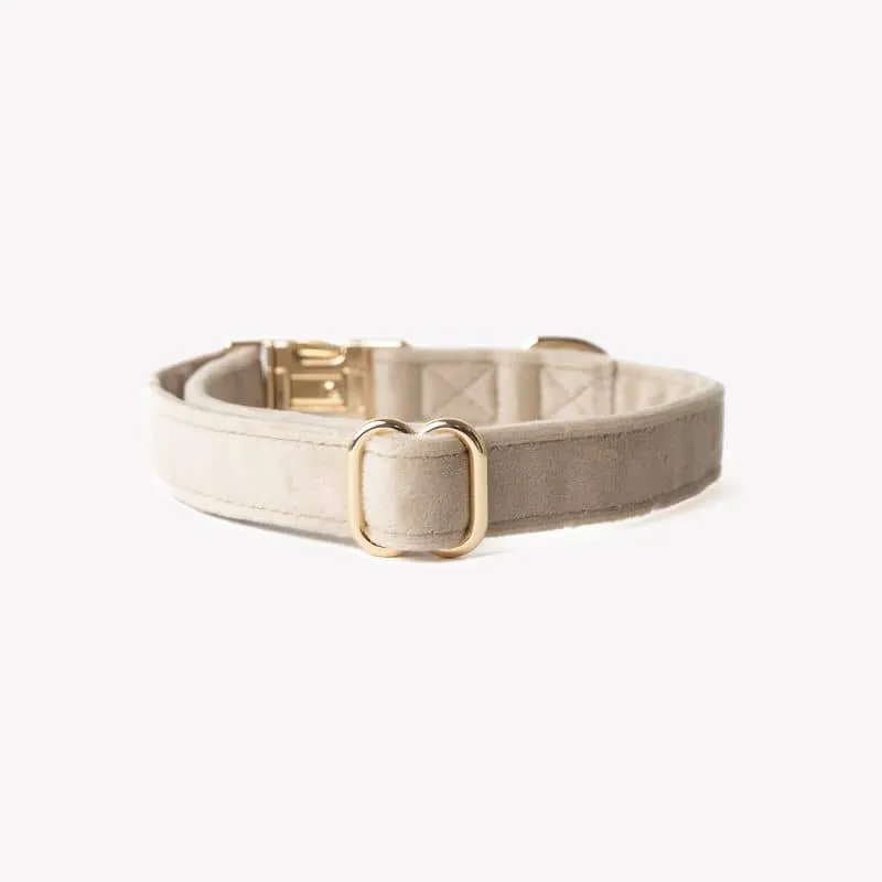 COLLIER EN VELOURS POUR CHIEN - BEIGE SABLE "SAND VELVET"