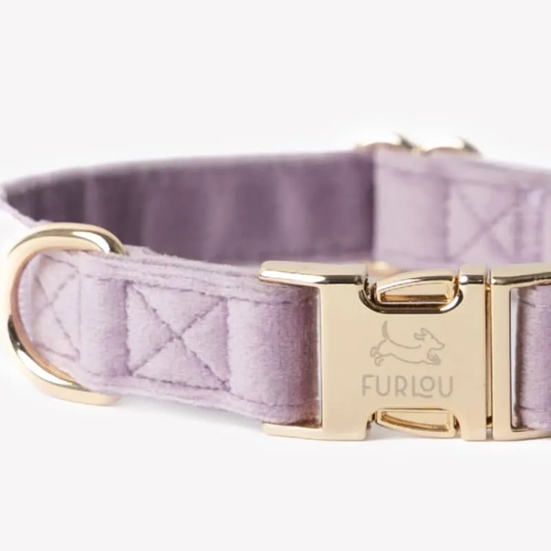 COLLIER EN VELOURS POUR CHIEN - MAUVE PARME "LILAC VELVET"