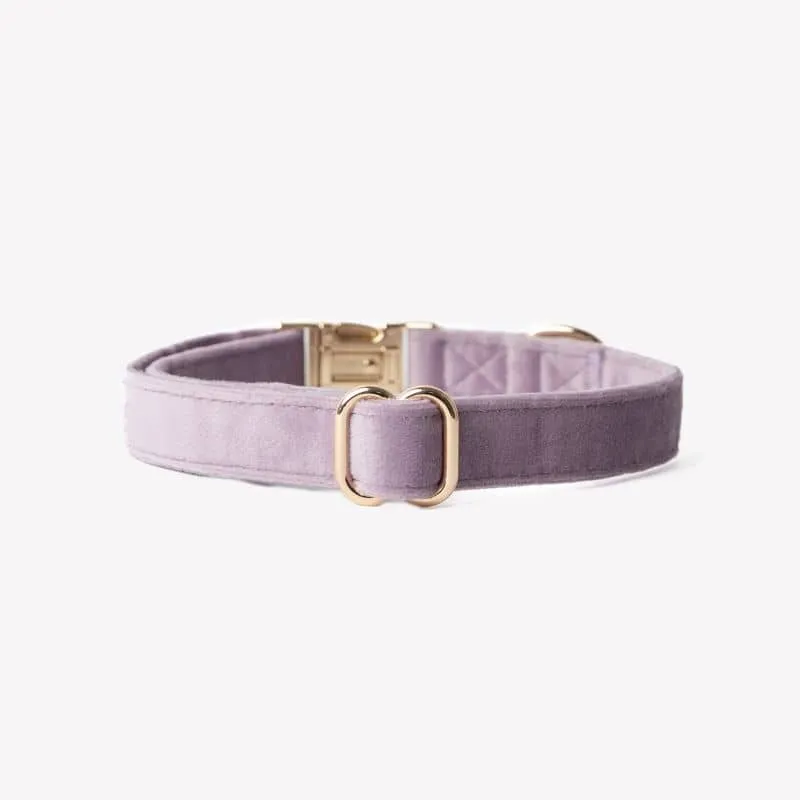 COLLIER EN VELOURS POUR CHIEN - MAUVE PARME "LILAC VELVET"