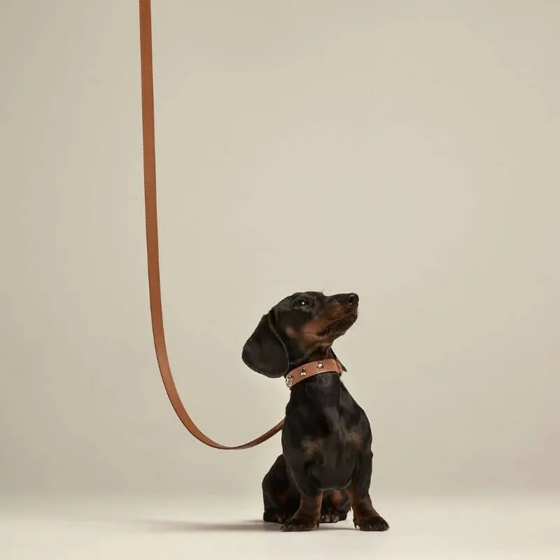 LAISSE EN CUIR POUR CHIEN - CAMEL "NARA"