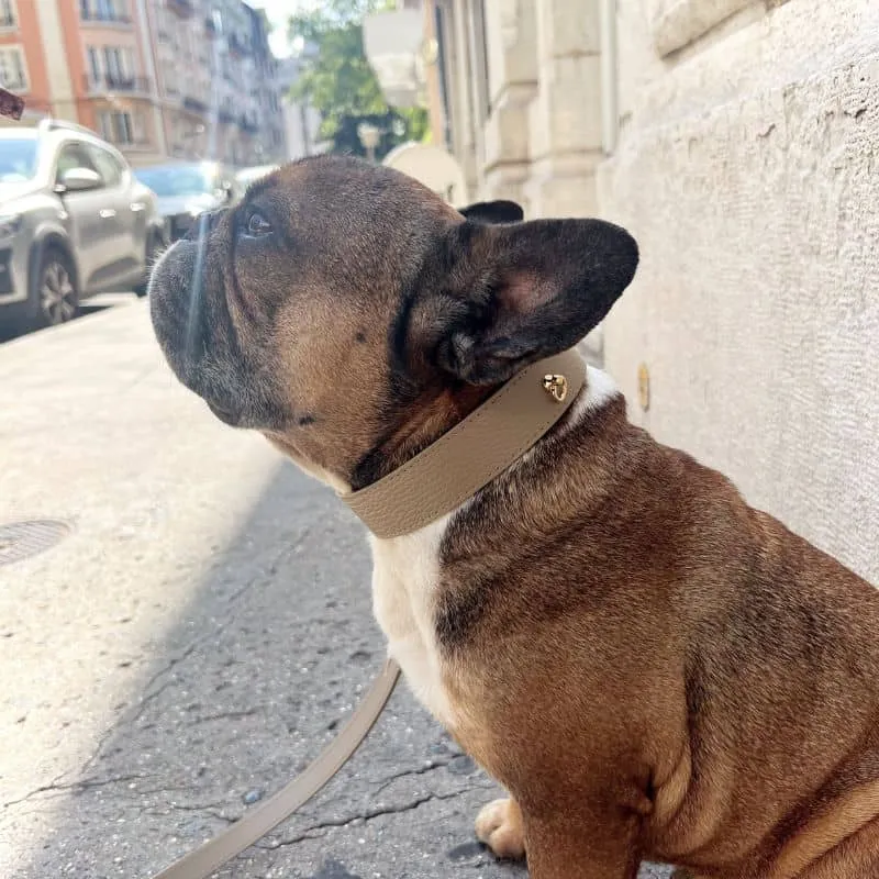 COLLIER EN CUIR POUR CHIEN - TAUPE "JUNO"